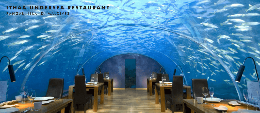 ithaa undersea restaurant rangali island maldives